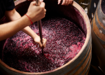 ГИЧС предупреждает о рисках, связанных с производством вина на дому