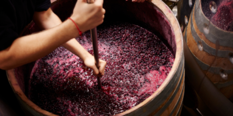 ГИЧС предупреждает о рисках, связанных с производством вина на дому