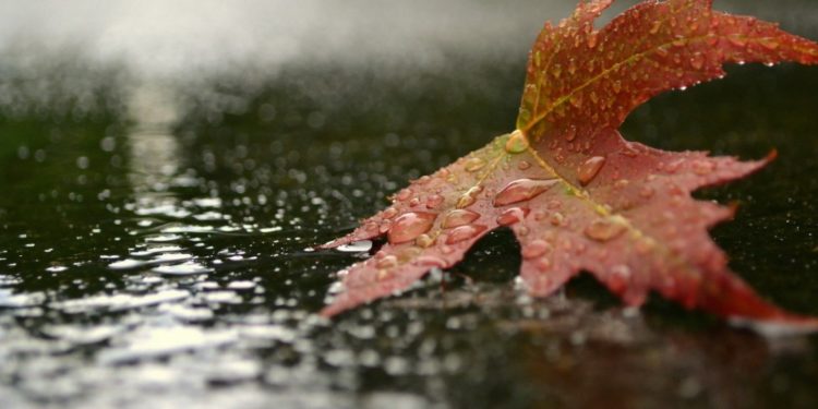 E 3 septembrie în calendar: Dacă planifici o plimbare, ia și o umbrelă cu tine. Află cum va fi timpul astăzi