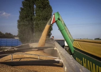 Польша предъявила ультиматум Еврокомиссии по ввозу зерна с Украины