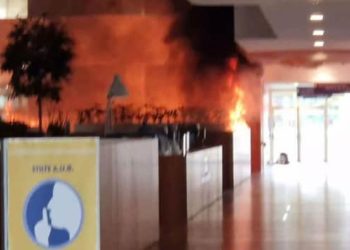 В Роттердаме мужчина открыл стрельбу в двух местах, есть погибшие