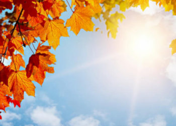 Какой будет погода в Молдове на следующей неделе? Прогноз синоптиков