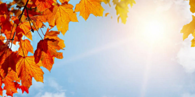 Какой будет погода в Молдове на следующей неделе? Прогноз синоптиков