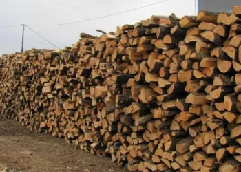 Ministrul Mediului anunță că în noul sezon rece, lemnele de foc se vor scumpi. Ce sprijin vor primi persoanele social vulnerabile | VIDEO