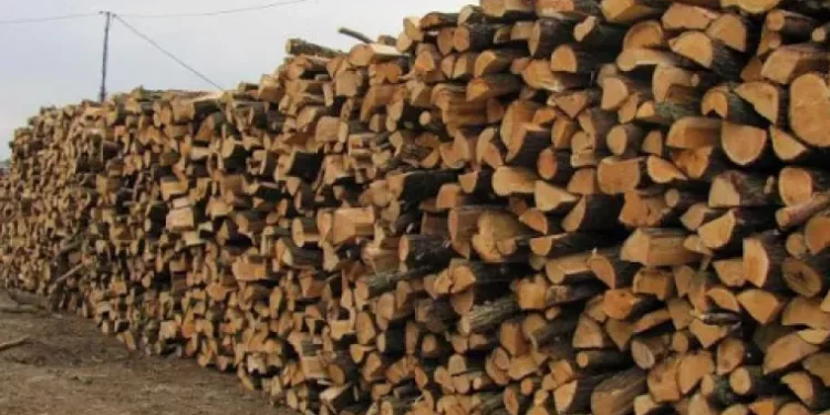 Ministrul Mediului anunță că în noul sezon rece, lemnele de foc se vor scumpi. Ce sprijin vor primi persoanele social vulnerabile | VIDEO