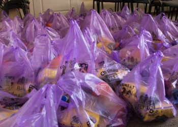 Asistenții sociali ar fi obligați să urmărească dacă partidele nu oferă „pomeni electorale”