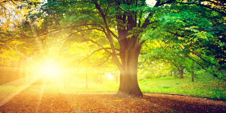 Vreme confortabilă, însă cu o ușoară instabilitate la mijlocul perioadei. Ce temperaturi ne așteaptă în primul weekend din toamnă