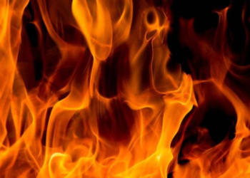 Incendiu puternic într-o pădure din Capitală. Flăcările pot fi observate de la distanță | VIDEO