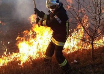 Огонь уничтожил 20 га земли: подробности пожара на Телецентре