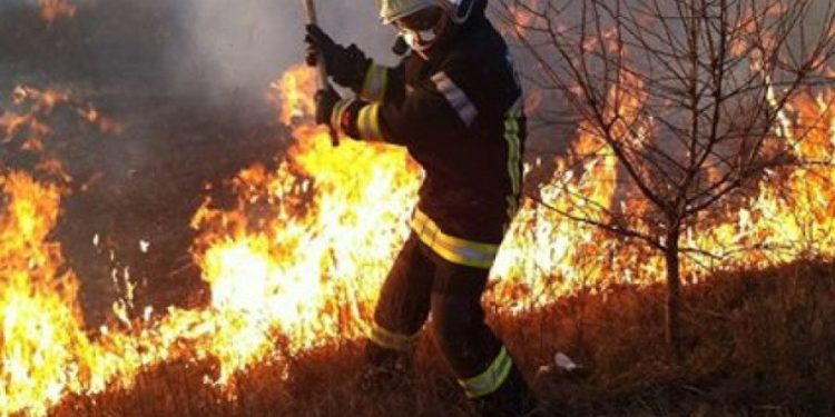 Огонь уничтожил 20 га земли: подробности пожара на Телецентре