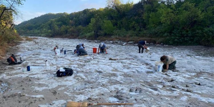 Seceta din SUA și nivelul scăzut al apelor dezvăluie noi urme de dinozaur care ar data de acum 110 milioane de ani