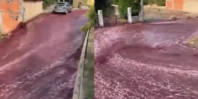 Incident mai puțin obișnuit: Un oraș din Portugalia a fost inundat cu 2,2 milioane de litri de vin roșu | VIDEO