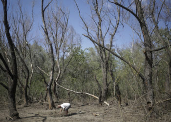 MAE România l-a convocat pe însărcinatul cu afaceri al Ambasadei ruse: Autoritățile protestează față de încălcarea spațiului său aerian
