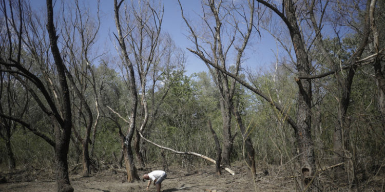 MAE România l-a convocat pe însărcinatul cu afaceri al Ambasadei ruse: Autoritățile protestează față de încălcarea spațiului său aerian