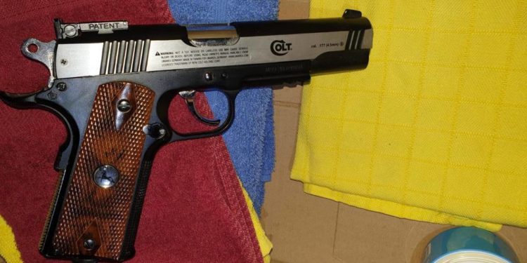 Un pistol și muniții au depistat Vameșii de la Leușeni-Albița