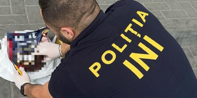 Droguri de 8.000.000 lei din Odesa, Ucraina în pachete cu hrană pentru câini: patru bărbați – reținuți