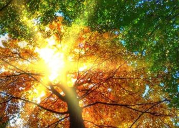 Тепло и солнечно: прогноз погоды на субботу