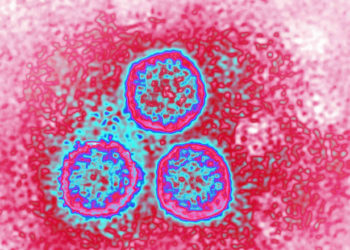 1 din 3 bărbaţi din întreaga lume este infectat cu virusul HPV. Rezultatele îngrijorătoare ale unui nou studiu