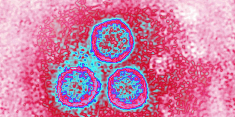 1 din 3 bărbaţi din întreaga lume este infectat cu virusul HPV. Rezultatele îngrijorătoare ale unui nou studiu