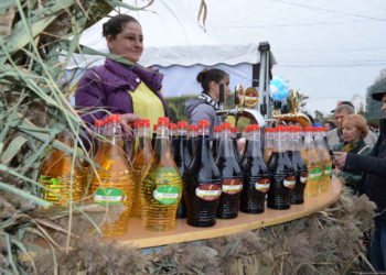 Более 90 виноделов примут участие в Национальном празднике вина