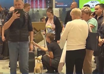 „Было очень страшно и негде было спрятаться – везде бомбили”. Что говорят граждане Молдовы, которые благодаря Илану Шору вернулись из Израиля в Молдову | VIDEO