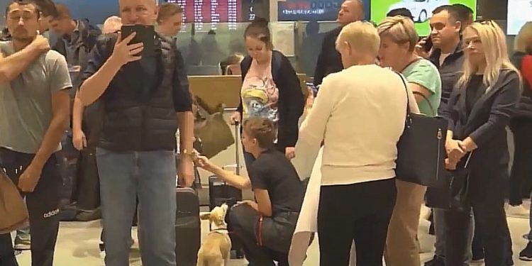 „Было очень страшно и негде было спрятаться – везде бомбили”. Что говорят граждане Молдовы, которые благодаря Илану Шору вернулись из Израиля в Молдову | VIDEO