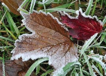 “Желтый код” объявили в Молдове в связи с заморозками