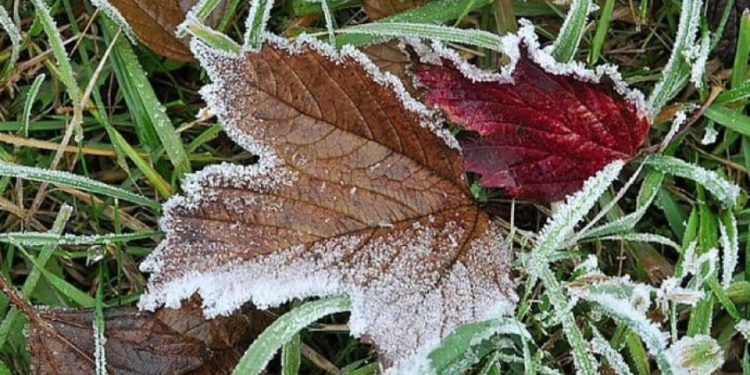 “Желтый код” объявили в Молдове в связи с заморозками