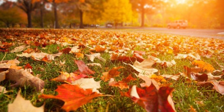 В Молдове к концу недели ожидается потепление