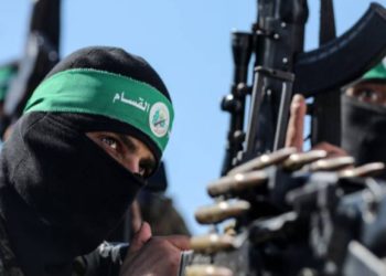 Турция подтвердила переговоры с ХАМАС об освобождении заложников