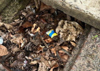 В Кишиневе во дворе школы задержали таксиста. У него нашли наркотики на 300 тыс. леев