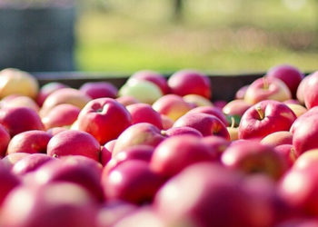 Экспорт яблок из Молдовы в первые месяцы продаж стал самым низким за последние 5 сезонов