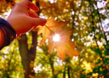 В Молдове ожидается потепление до 32 °C. Прогноз погоды на выходные