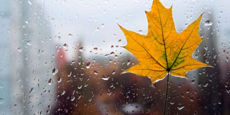 Синоптики предупреждают о возможных дождях