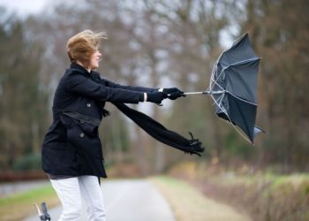 Внимание, желтый код: Синоптики предупреждают о сильном ветре