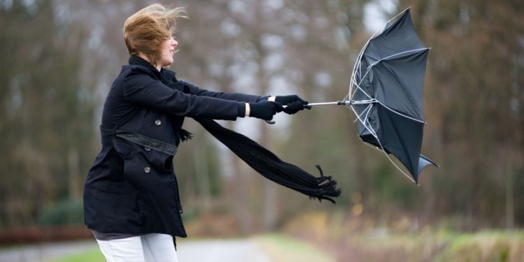 Внимание, желтый код: Синоптики предупреждают о сильном ветре