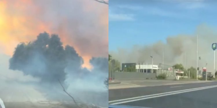 Пепел летал даже над столицей: в Страшенском районе загорелся камыш