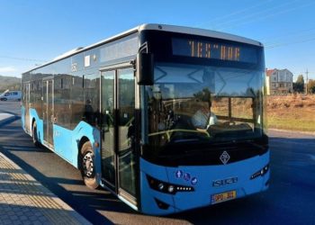 Новый автобусный маршрут могут запустить в Сынжеру: как он будет курсировать