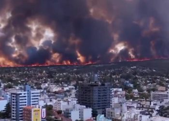 В Аргентине любитель кофе устроил мощный пожар