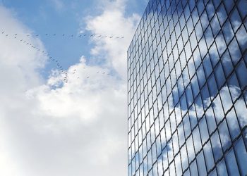 Тысяча птиц погибла за один день, столкнувшись со зданием выставочного центра в Чикаго