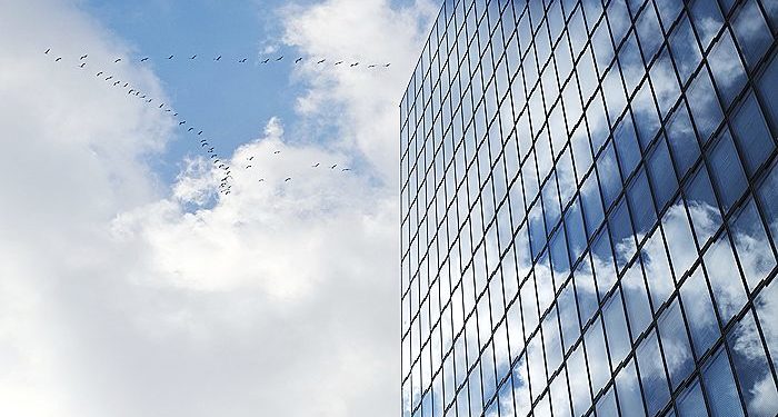 Тысяча птиц погибла за один день, столкнувшись со зданием выставочного центра в Чикаго