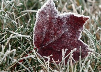 Первые заморозки в Молдове. Синоптики предупреждают о ночных морозах