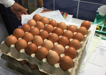 Сальмонелла в партии яиц из Дондюшан: НАПБ предупреждает