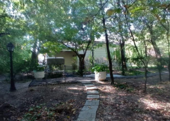 Percheziții în dosarul privind acapararea ilegală a fondului forestier din pădurea Durlești: Prejudiciul adus statului se estimează la aproape 2 milioane 350 mii lei | VIDEO