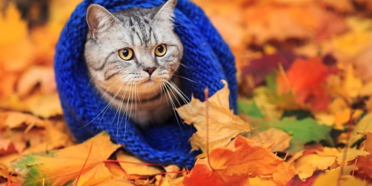 Потеплеет или похолодает? Синоптики рассказали о погоде в Молдове на выходных