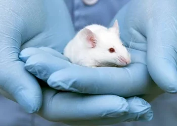 Embrioni de şoarece au fost obţinuţi în spaţiu pentru prima dată