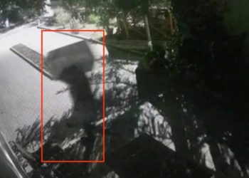 Au golit safee de peste 2 mil. de lei din birouri și magazine: Șase suspecți, luați pe sus de mascaţi, iar unul – reținut în timp ce a vrut să fugă din țară