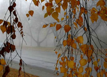 COD GALBEN de vreme instabilă: Când va intra în vigoare