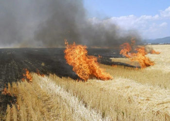 В Молдове продлили желтый код пожарной опасности