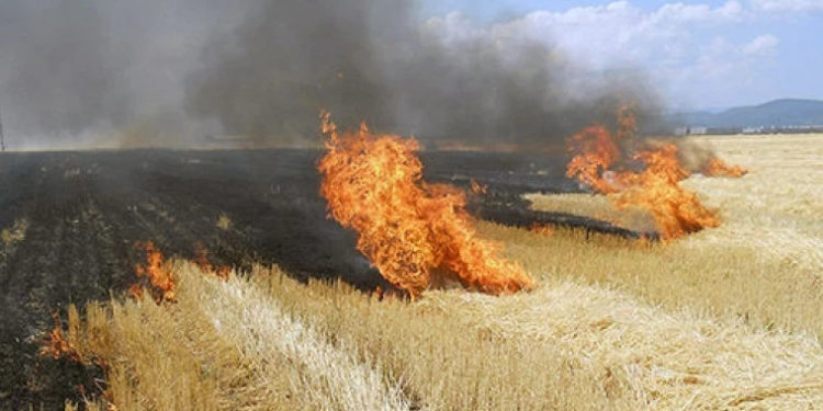 В Молдове продлили желтый код пожарной опасности